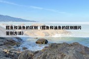 鳕鱼和油鱼的区别（鳕鱼和油鱼的区别图片 鉴别方法）