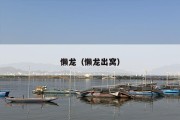 懒龙（懒龙出窝）