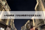 小龟白眼病（乌龟白眼病不吃东西怎么办）