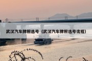 武汉汽车牌照选号（武汉汽车牌照选号流程）