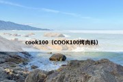 cook100（COOK100烤肉料）