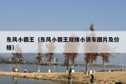 东风小霸王（东风小霸王双排小货车图片及价格）