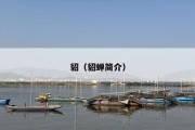 貂（貂蝉简介）