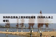 狗狗趴在我身上很快就能睡着（狗狗趴人身上睡觉）