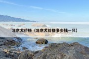 北京犬价格（北京犬价格多少钱一只）