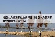 湖南人力资源和社会保障厅（湖南人力资源和社会保障厅三支一扶）