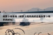 胡萝卜炖羊肉（胡萝卜炖羊肉好还是白萝卜炖羊肉好吃）