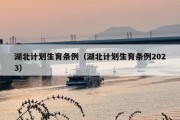 湖北计划生育条例（湖北计划生育条例2023）