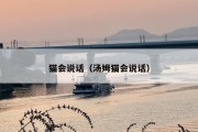 猫会说话（汤姆猫会说话）