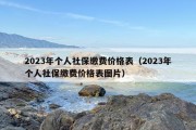 2023年个人社保缴费价格表（2023年个人社保缴费价格表图片）