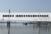 西德牧羊犬（西德牧羊犬和东德牧羊犬的区别）