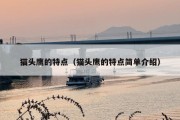 猫头鹰的特点（猫头鹰的特点简单介绍）