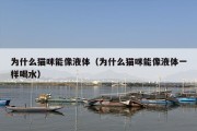 为什么猫咪能像液体（为什么猫咪能像液体一样喝水）