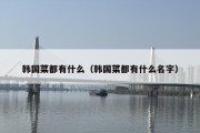 韩国菜都有什么（韩国菜都有什么名字）