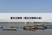 爱尔兰咖啡（爱尔兰咖啡小说）