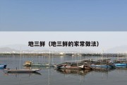 地三鲜（地三鲜的家常做法）