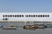 北京社保卡进度查询（北京社保卡进度查询怎么查）