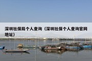 深圳社保局个人查询（深圳社保个人查询官网地址）