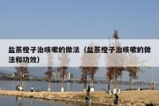盐蒸橙子治咳嗽的做法（盐蒸橙子治咳嗽的做法和功效）