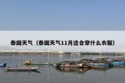 泰国天气（泰国天气11月适合穿什么衣服）