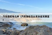 汽车保险有几种（汽车保险怎么买合适又便宜）