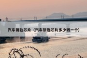 汽车钥匙芯片（汽车钥匙芯片多少钱一个）