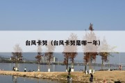 台风卡努（台风卡努是哪一年）