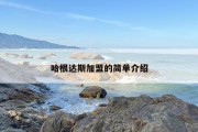 哈根达斯加盟的简单介绍