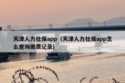 天津人力社保app（天津人力社保app怎么查询缴费记录）