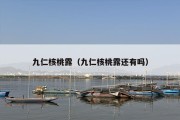 九仁核桃露（九仁核桃露还有吗）
