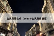 台风黄蜂生成（2020年台风黄蜂胚胎）