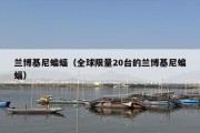 兰博基尼蝙蝠（全球限量20台的兰博基尼蝙蝠）
