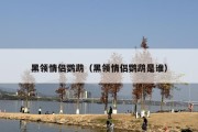 黑领情侣鹦鹉（黑领情侣鹦鹉是谁）