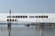 2013社保缴费基数（2013社保缴费基数是多少）
