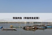 铁锅炖鱼（铁锅炖鱼配菜）