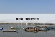 腌桂花（腌桂花窍门）