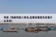 狗首（狗前狗后二和合,左看右看竖为玄是什么生肖）