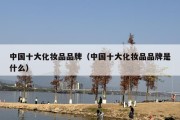 中国十大化妆品品牌（中国十大化妆品品牌是什么）