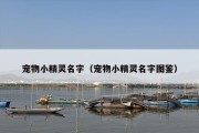 宠物小精灵名字（宠物小精灵名字图鉴）
