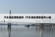 汽车保险理赔案例（汽车保险理赔案例10篇）