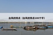 台风的特点（台风的特点100个字）