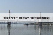寒冷天气飞行（寒冷天气飞行技能在哪里学）