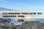 为什么猫咪能像液体一样缩在小盒子里（为什么猫咪能像液体一样蜷缩）
