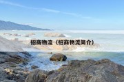 招商物流（招商物流简介）