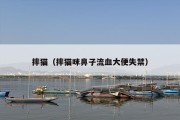 摔猫（摔猫咪鼻子流血大便失禁）