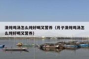 清炖鸡汤怎么炖好喝又营养（月子清炖鸡汤怎么炖好喝又营养）