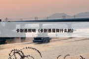 卡耐基照明（卡耐基是做什么的）