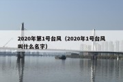 2020年第1号台风（2020年1号台风叫什么名字）