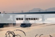 宠物床（宠物床图片）