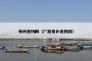 柳州宠物网（广西柳州宠物网）